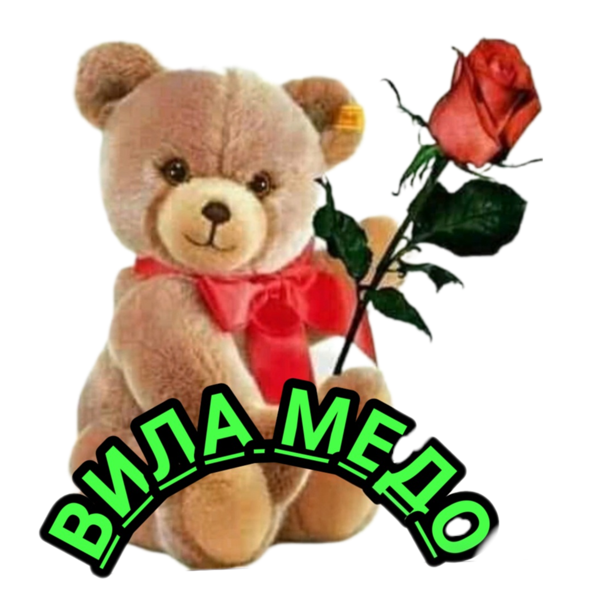 Vila Medo Logo